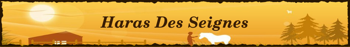 Haras Des Seignes